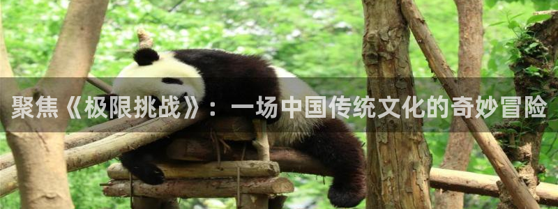 汇富娱乐体育官网：聚焦《极限挑战》：一场中国传统文化的奇妙冒险