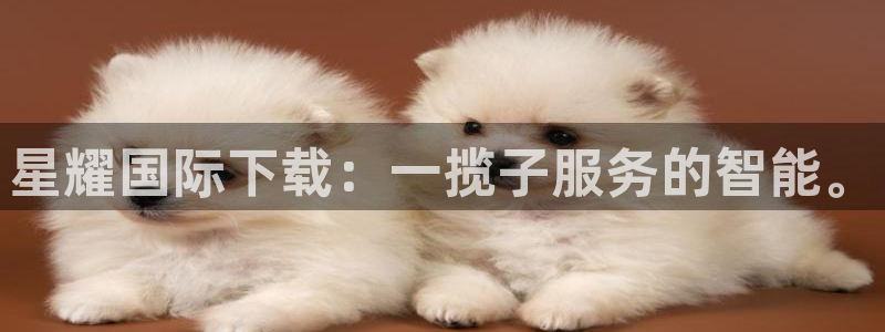 汇富娱乐官网版下载链接：星耀国际下载：一揽子服务的智能。