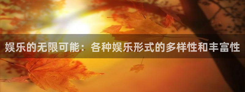 汇富娱乐4注册：娱乐的无限可能：各种娱乐形式的多样性和丰富性