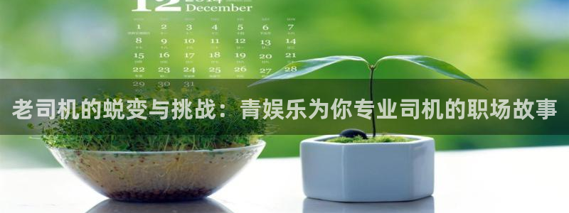 汇富娱乐在线下载：老司机的蜕变与挑战：青娱乐为你专业司机的职场故事