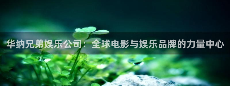 东莞市汇富娱乐电子科技有限公司：华纳兄弟娱乐公司：全球电影与娱乐品牌的力量中心