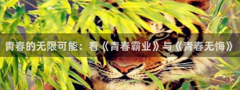 汇富娱乐游戏：青春的无限可能：看《青春霸业》与《青春无悔》