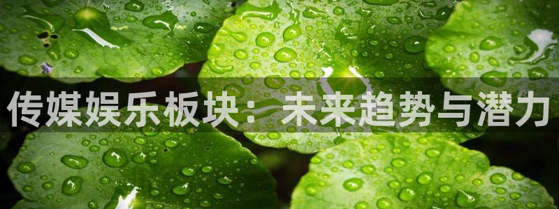 汇富娱乐体育4：传媒娱乐板块：未来趋势与潜力