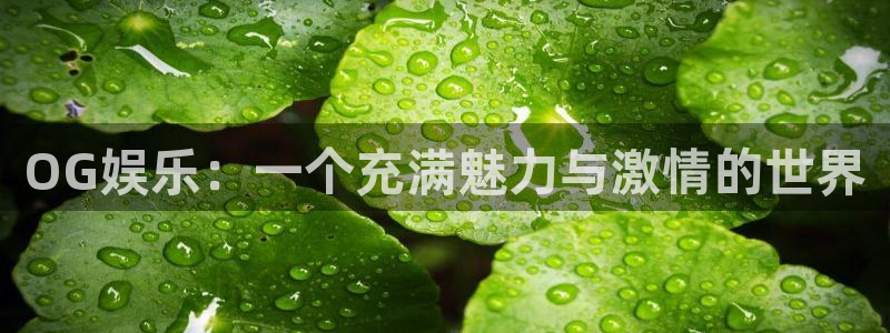 汇富娱乐app新版上线体验.游戏更新入口.中国：OG娱乐：一个充满魅力与激情的世