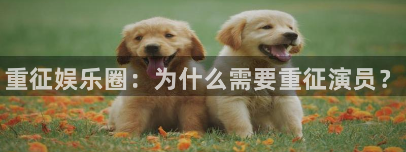 汇富娱乐招商：重征娱乐圈：为什么需要重征演员？