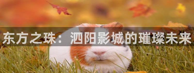 汇富娱乐体育平台登录入口：东方之珠：泗阳影城的璀璨未来