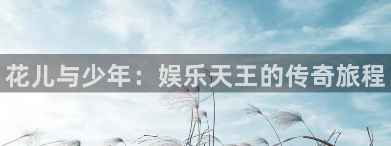 汇富娱乐现在优惠多少：花儿与少年：娱乐天王的传奇旅程