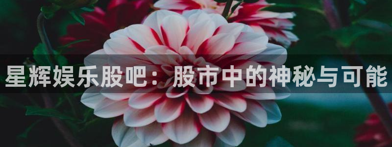 汇富娱乐娱乐：星辉娱乐股吧：股市中的神秘与可能