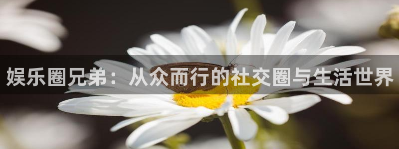 汇富娱乐游戏官网平台入口：娱乐圈兄弟：从众而行的社交圈与生活世界