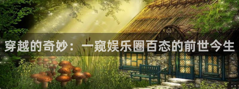 福建汇富娱乐机电股份公司：穿越的奇妙：一窥娱乐圈百态的前世今生