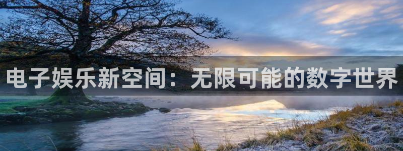 成都汇富娱乐电子有限公司：电子娱乐新空间：无限可能的数字世界