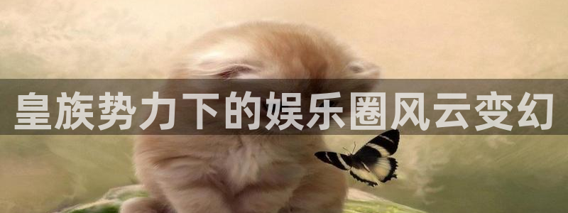 汇富娱乐集团总部：皇族势力下的娱乐圈风云变幻
