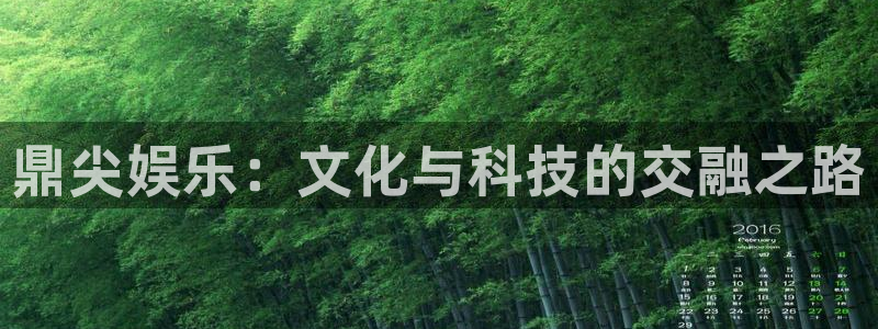 汇富娱乐注册登录入口：鼎尖娱乐：文化与科技的交融之路