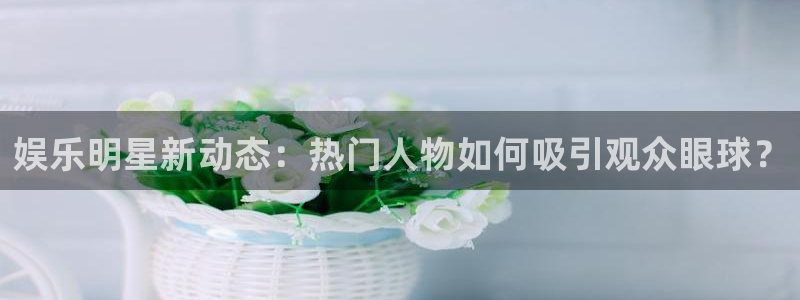 汇富娱乐登录界面入口：娱乐明星新动态：热门人物如何吸引观众眼球？