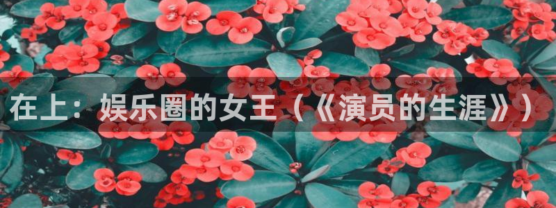 汇富娱乐哪个游戏好爆：在上：娱乐圈的女王（《演员的生涯》）