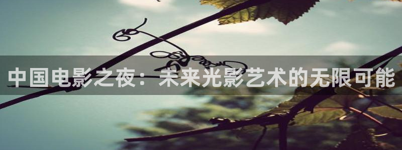 汇富娱乐代理：中国电影之夜：未来光影艺术的无限可能