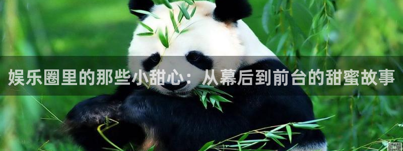 汇富娱乐2登录：娱乐圈里的那些小甜心：从幕后到前台的甜蜜故事