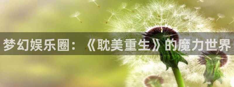 汇富娱乐电子有限公司：梦幻娱乐圈：《耽美重生》的魔力世界