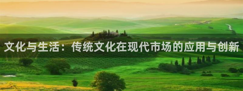 汇富娱乐3平台登录注册：文化与生活：传统文化在现代市场的应用与创新