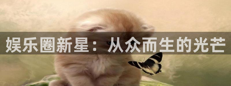 汇富娱乐app注册地址：娱乐圈新星：从众而生的光芒