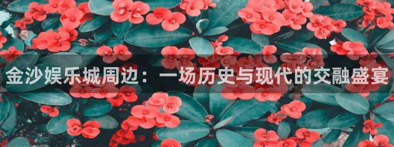 汇富娱乐.ccmpc29官网版下载：金沙娱乐城周边：一场历史与现代的交融盛宴